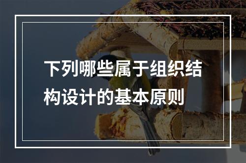 下列哪些属于组织结构设计的基本原则