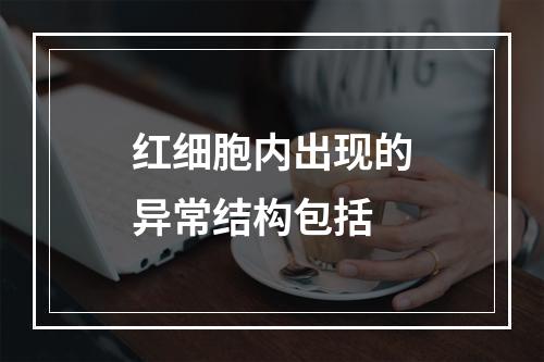 红细胞内出现的异常结构包括