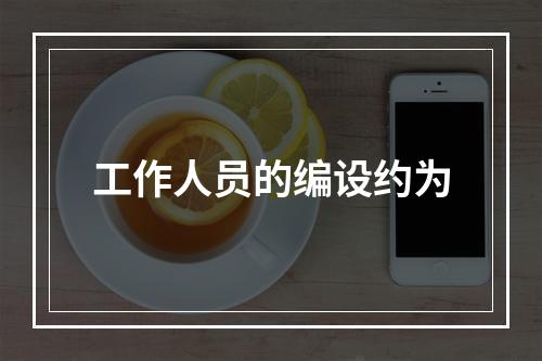 工作人员的编设约为