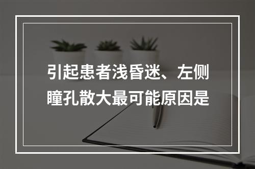 引起患者浅昏迷、左侧瞳孔散大最可能原因是