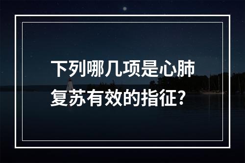 下列哪几项是心肺复苏有效的指征?