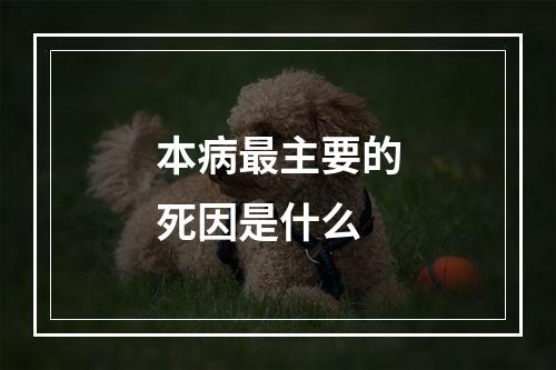 本病最主要的死因是什么