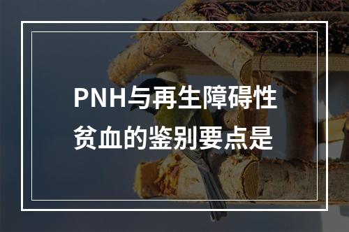 PNH与再生障碍性贫血的鉴别要点是