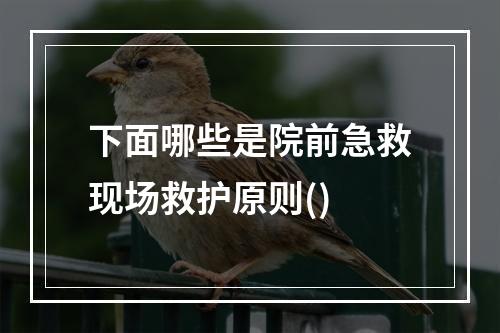 下面哪些是院前急救现场救护原则()