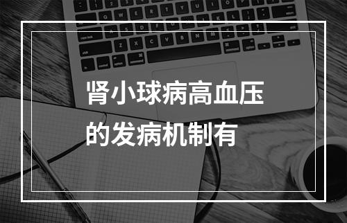 肾小球病高血压的发病机制有