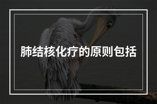 肺结核化疗的原则包括