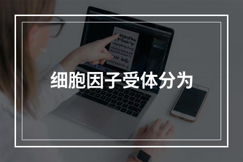 细胞因子受体分为