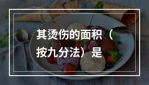 其烫伤的面积（按九分法）是