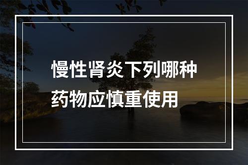 慢性肾炎下列哪种药物应慎重使用