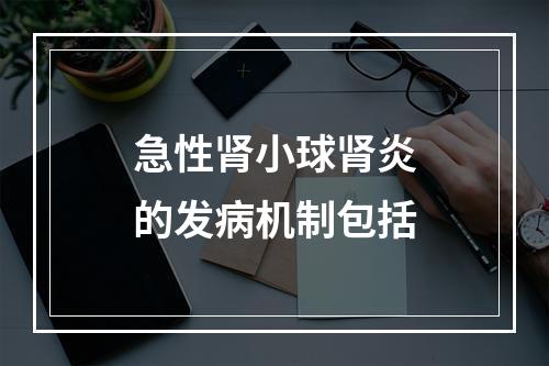 急性肾小球肾炎的发病机制包括