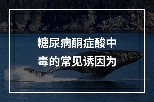 糖尿病酮症酸中毒的常见诱因为