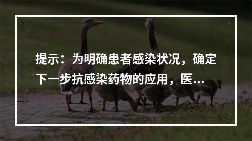 提示：为明确患者感染状况，确定下一步抗感染药物的应用，医生开