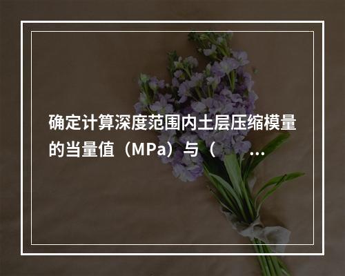 确定计算深度范围内土层压缩模量的当量值（MPa）与（　　）项