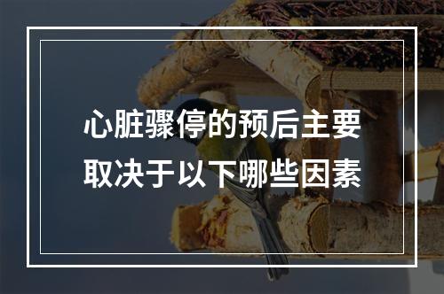 心脏骤停的预后主要取决于以下哪些因素