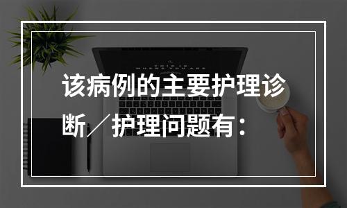 该病例的主要护理诊断／护理问题有：