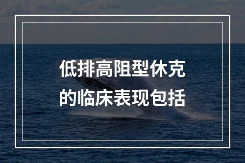 低排高阻型休克的临床表现包括