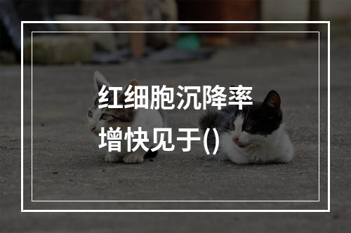 红细胞沉降率增快见于()