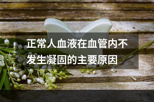 正常人血液在血管内不发生凝固的主要原因