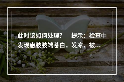 此时该如何处理？　提示：检查中发现患肢肢端苍白，发凉，被动伸