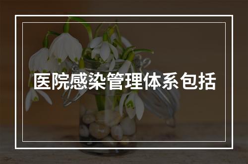 医院感染管理体系包括