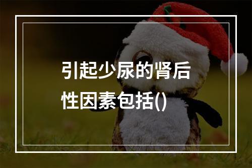 引起少尿的肾后性因素包括()