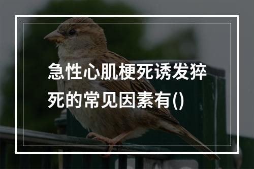 急性心肌梗死诱发猝死的常见因素有()