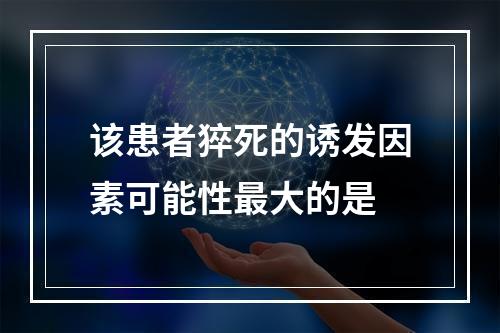 该患者猝死的诱发因素可能性最大的是