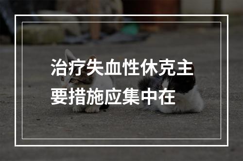 治疗失血性休克主要措施应集中在