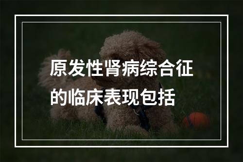 原发性肾病综合征的临床表现包括