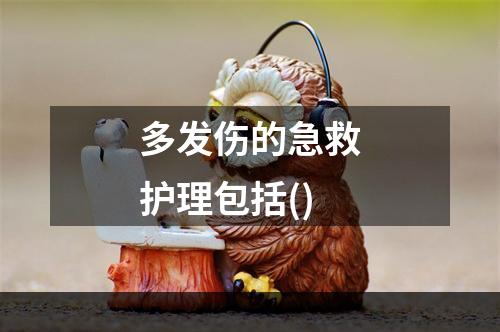 多发伤的急救护理包括()