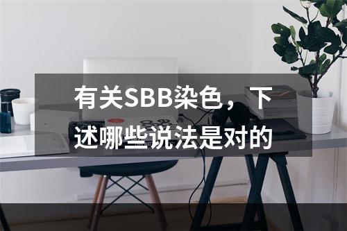 有关SBB染色，下述哪些说法是对的