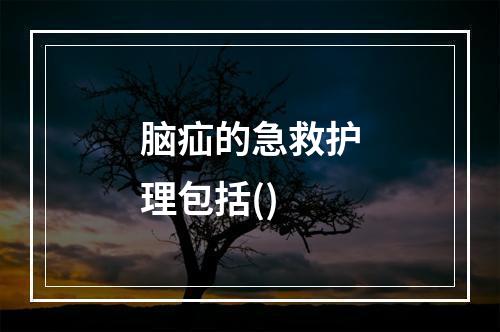 脑疝的急救护理包括()