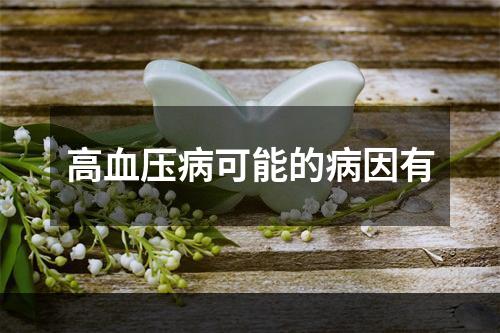 高血压病可能的病因有