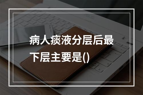 病人痰液分层后最下层主要是()