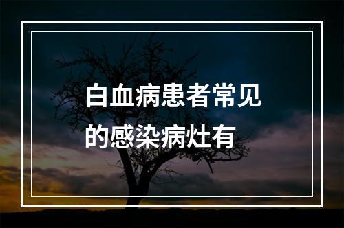 白血病患者常见的感染病灶有