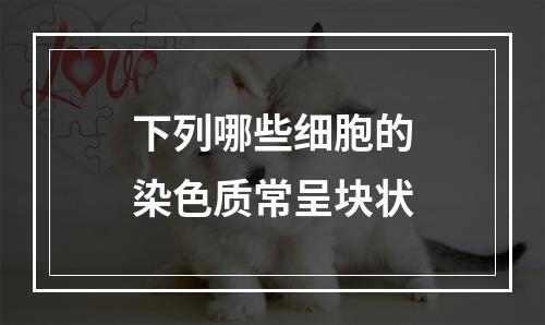 下列哪些细胞的染色质常呈块状