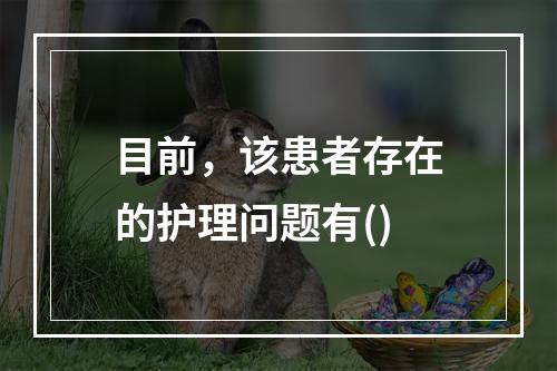 目前，该患者存在的护理问题有()