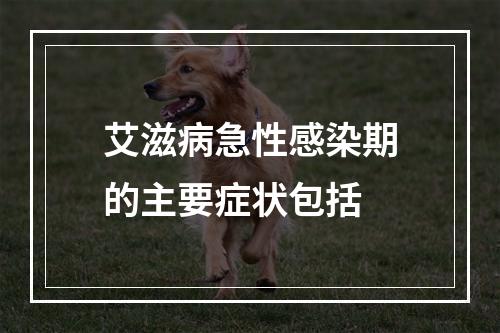 艾滋病急性感染期的主要症状包括