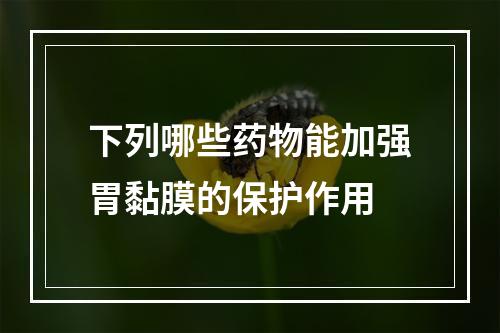 下列哪些药物能加强胃黏膜的保护作用