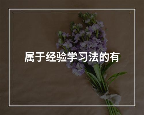 属于经验学习法的有