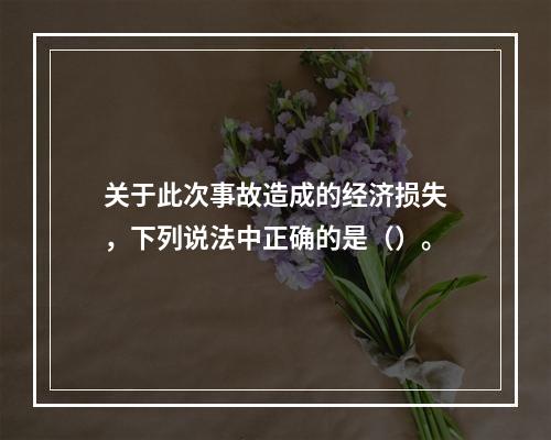 关于此次事故造成的经济损失，下列说法中正确的是（）。