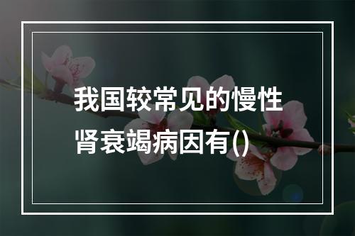 我国较常见的慢性肾衰竭病因有()