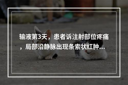 输液第3天，患者诉注射部位疼痛，局部沿静脉出现条索状红肿、灼