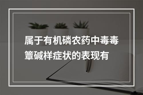 属于有机磷农药中毒毒簟碱样症状的表现有