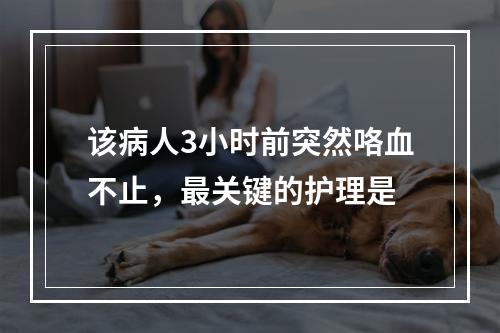 该病人3小时前突然咯血不止，最关键的护理是