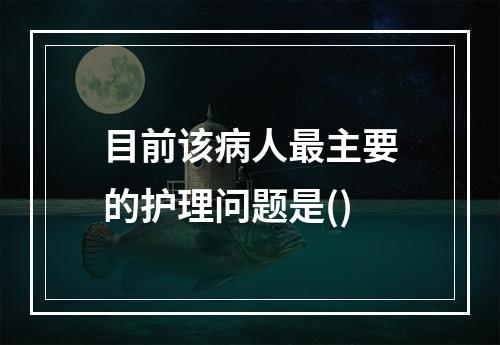 目前该病人最主要的护理问题是()