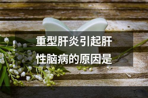 重型肝炎引起肝性脑病的原因是