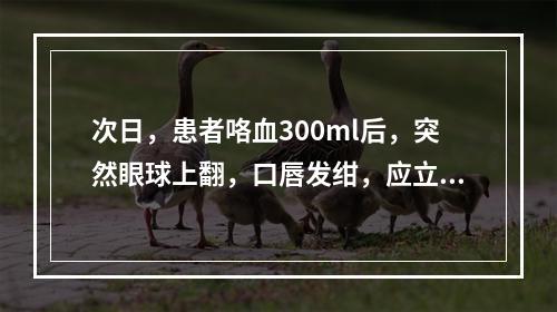 次日，患者咯血300ml后，突然眼球上翻，口唇发绀，应立即采