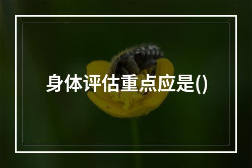 身体评估重点应是()