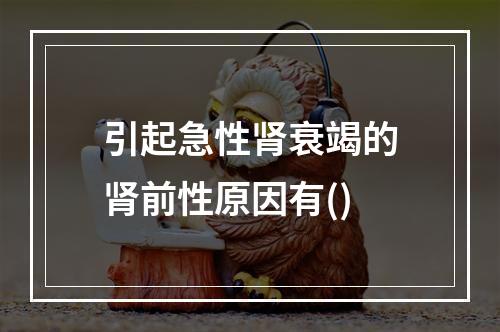 引起急性肾衰竭的肾前性原因有()